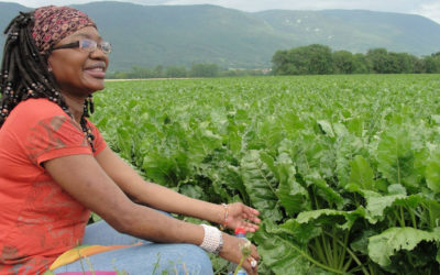 Human Rights Defender: Fulata Moyo